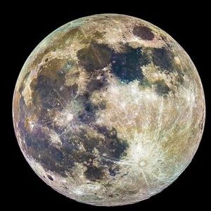 Meet your Posher, Alexa